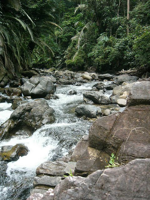 Air Terjun Tembat, Jalan Pengkalan Utama, Tasik Kenyir, Hulu Terengganu