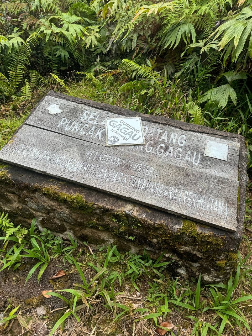 Gunung Gagau, Tasik Kenyir, Hulu Terengganu