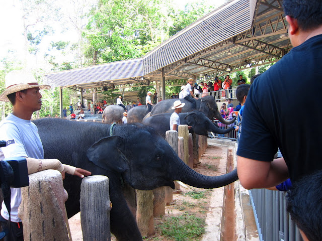 Perkampungan Konservasi Gajah Tasik Kenyir